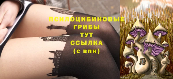 молекула духа Нязепетровск