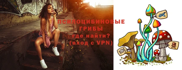 молекула духа Нязепетровск