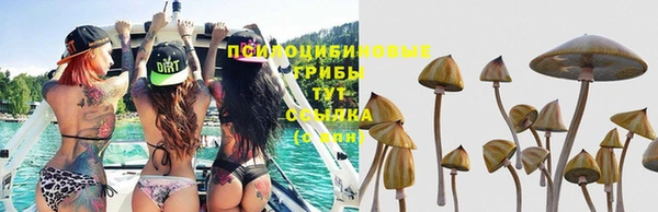молекула духа Нязепетровск